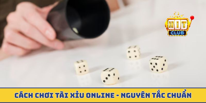 Cách chơi tài xỉu online