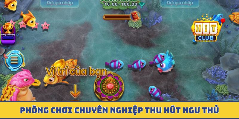 Phòng chơi chuyên nghiệp thu hút ngư thủ