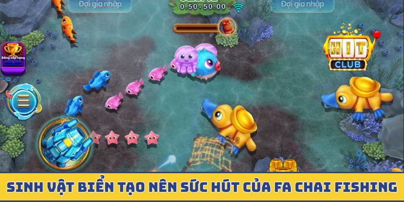 Sinh vật biển tạo nên sức hút của FA Chai Fishing